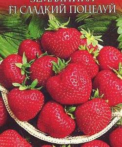 Земляника Сладкий поцелуй* F1 4 шт Русский вкус