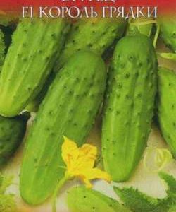 Огурец Король грядки F1 0,3 г серия Русский вкус Н10