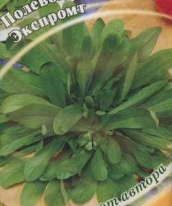 Салат Экспромт полевой 1,0 г автор. Н10