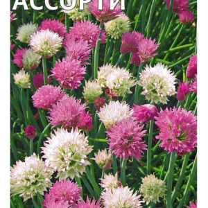 Лук шнитт Ассорти 0,5 г Н10