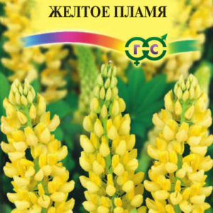 Люпин Желтое пламя Рассела 0,5 г Н10