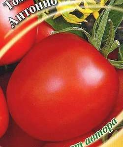 Томат Антонио 0,3 г автор. Н10