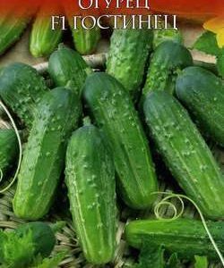 Огурец Гостинец F1 0,3 г серия Русский вкус Н11корнишон