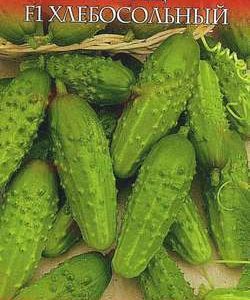 Огурец Хлебосольный F1 0,3 г серия Русский вкус Н11