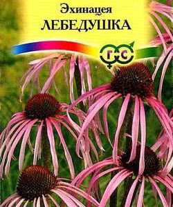Эхинацея Лебедушка * 0,1 г Н10