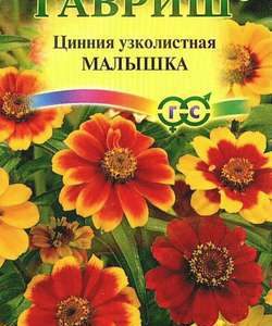Цинния Малышка карликовая 0,3 г Н11
