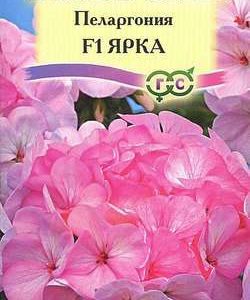 Пеларгония Ярка F1зональная * 4 шт. Н10