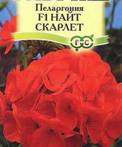Пеларгония Найт Скарлет F1зональная* 4 шт. Н10