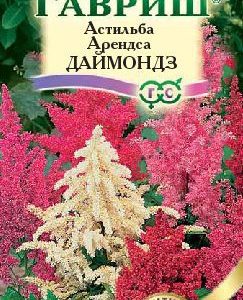 Астильба Арендса Даймондз, смесь* 10 шт. Н10
