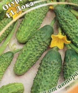 Огурец Дока F1 10 шт.корнишон автор. Н10