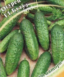 Огурец Бутуз F1 10 шт. корнишон автор. Н10