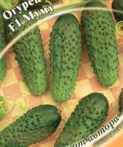 Огурец Муму F1 10 шт.корнишон автор.Н10