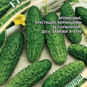 Огурец Егоза F1 10 шт.корнишон автор. Н10