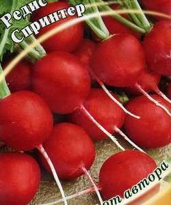 Редис Спринтер 2,0 г автор. Н10
