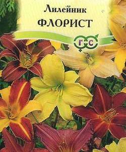 Лилейник Флорист, смесь 5 шт. Н10