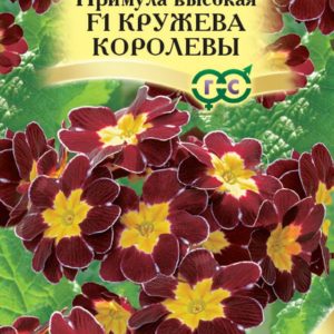 Примула Кружева королевы F1, смесь* 5 шт. сер. Элитная клумба Н10