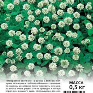 Клевер ползучий белый Нанук 0,5 кг