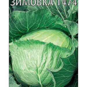 Капуста белокоч. Зимовка 1474 0,5 г для хранения сер. Традиция Н11