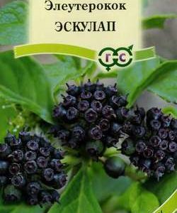 Элеутерокок колючий Эскулап 3 шт. Н10