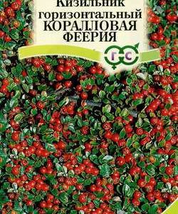 Кизильник Коралловая феерия* 0,1 г Н10