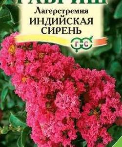 Лагерстремия Индийская сирень 0,2 г Н10