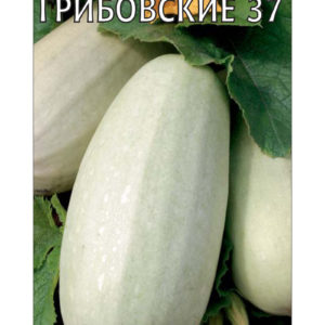 Кабачок Грибовские 37 2 г сер. Традиция Н11