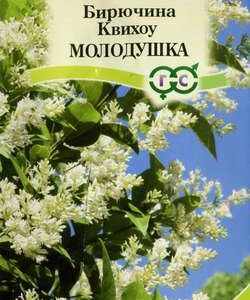 Бирючина Квихоу 0,3 г Н11