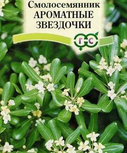 Смолосемянник Ароматные звездочки 0,5 г Н11