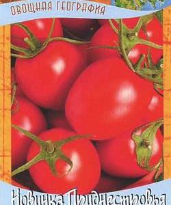 Томат Новинка Приднестровья 0,2 г сер. География Н9