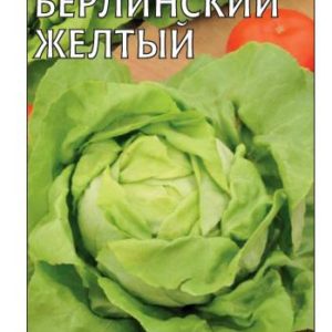 Салат Берлинский желтый 1,0 г маслянистый сер. Традиция Н11