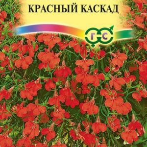 Лобелия Красный каскад , ампельная 0,05 г Н11