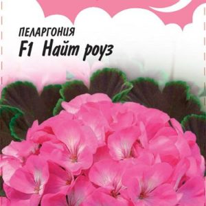 Пеларгония Найт Роуз F1зональная* 4 шт. Н11 серия Розовые сны
