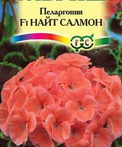 Пеларгония Найт Салмон F1зональная * 4 шт. Н11