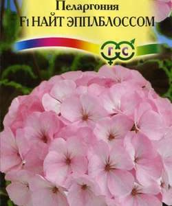 Пеларгония Найт Эплблоссом F1зональная* 4 шт. Н11