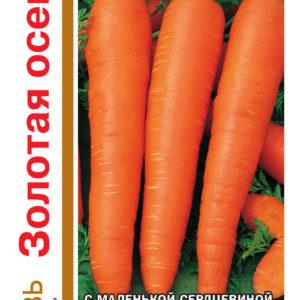 Морковь Золотая осень серия 1+1/4,0 г Н11