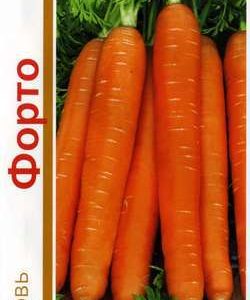 Морковь Форто (Ройал) серия 1+1/4,0 г Н11