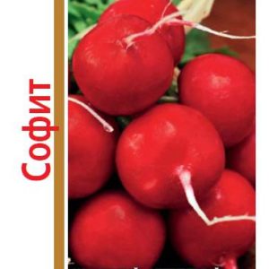 Редис Софит серия 1+1/5,0 г Н11