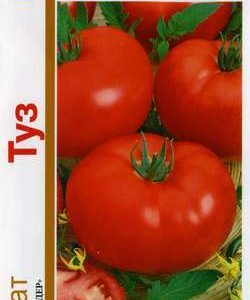 Томат Туз серия 1+1/0,2 г автор. Н11