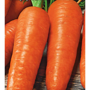 Морковь Ред кор 2,0 г Н11