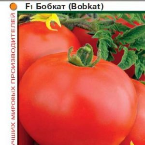 Томат Бобкат F1 10 шт. (Голландия) Н11
