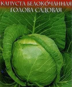 Капуста белокоч. Голова садовая 0,5 г сер. ранняя Русский вкус!