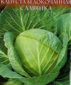 Капуста белокоч. Славянка 0,5 г для хранения сер. Русский вкус! Н11