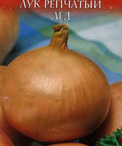 Лук репч. Дед 1,0 г серия Русский вкус!