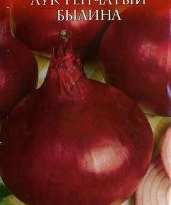 Лук репч. Былина 1,0 г серия Русский вкус!