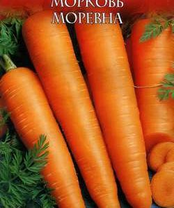 Морковь Моревна 2,0 г сер. Русский вкус! Н11