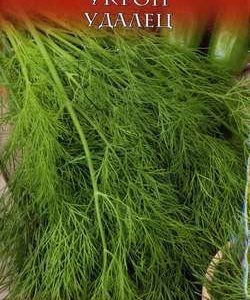 Укроп Удалец 3,0 г серия Русский вкус! Н11