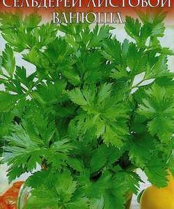 Сельдерей Ванюша листовой 0,3 г серия Русский вкус! Н11
