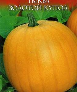 Тыква Золотой купол 2,0 г сер. Русский вкус!