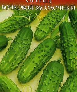 Огурец Бочковой засолочный 0,5 г сер. Русский вкус! Н11