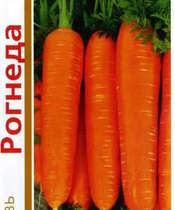 Морковь Рогнеда серия 1+1/4,0 г Н11